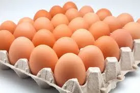 Huevos 1era Unidad 