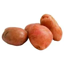 PAPA Fresco en amarre