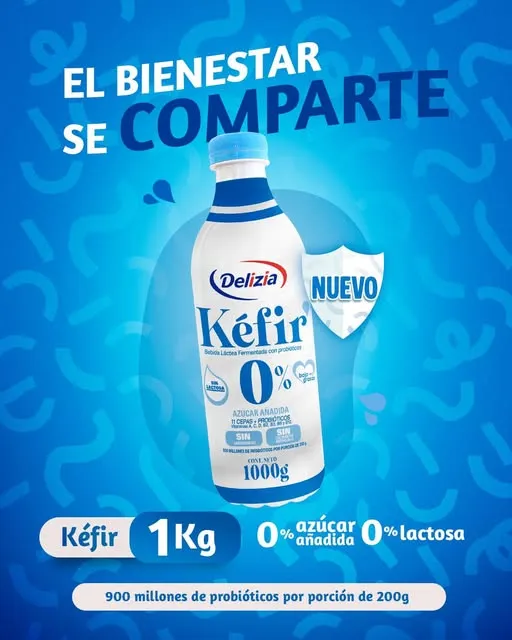 Delizia Kefir natural sin azucar X 1L  