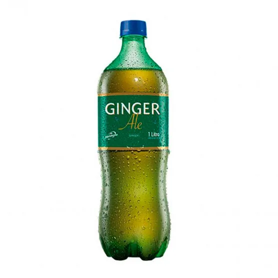 Gaseosa Mendocina Ginger Ale X 1 L