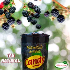 MERMELADA DE MORA CANDY x200g