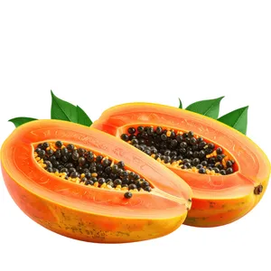 [mkt 000091] papaya fresca (fruta)