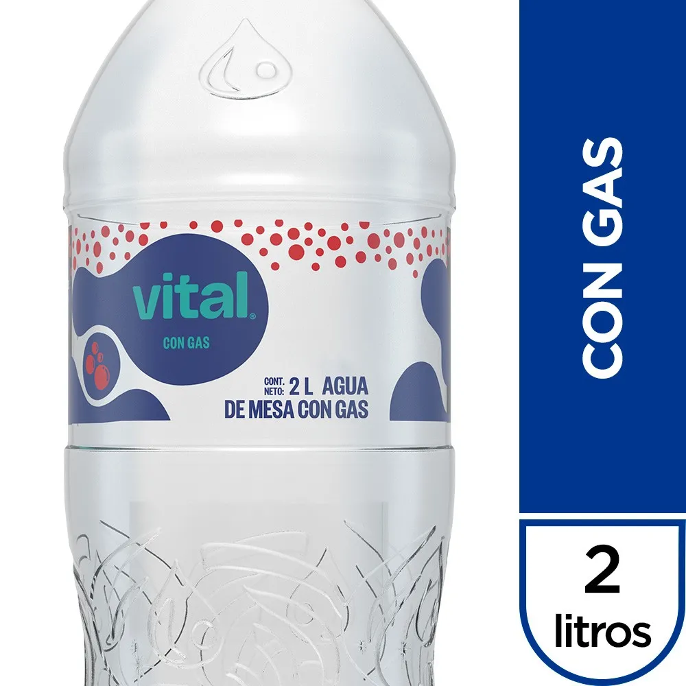 AGUA VITAL CON GAS X 2LT